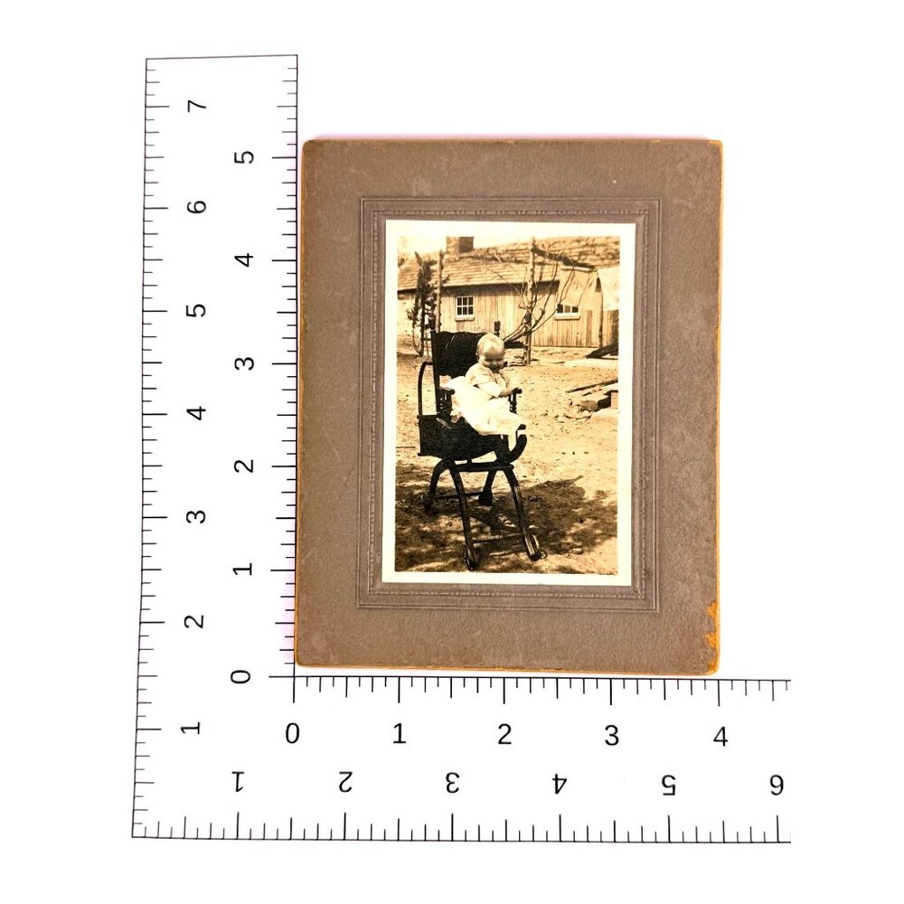 Antique CDV Photo Baby In Stroller Rustic Rural Farm Scene Horse Laundry 1870s - Picture 5 of 5